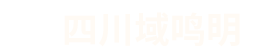 遂宁域鸣明网站建设